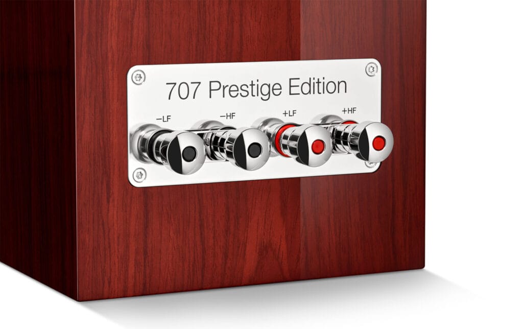 Bowers & Wilkins 707 Prestige Edition rear teminals