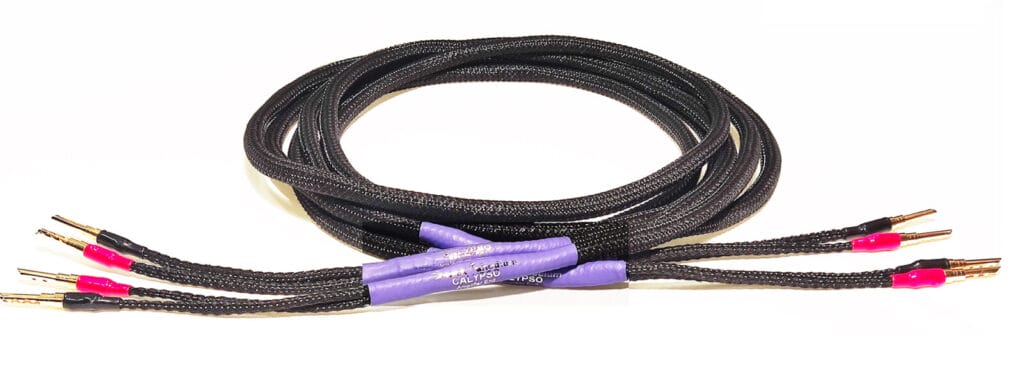 Black Rhodium Calypso cable