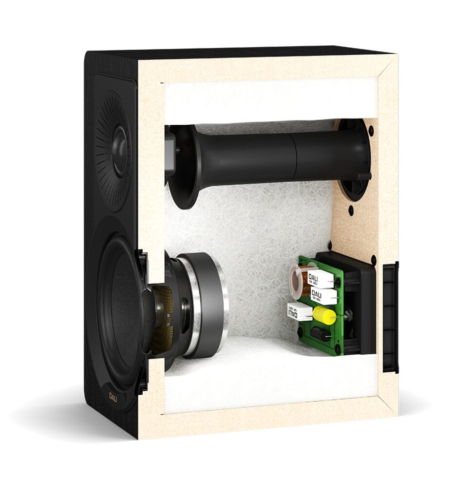 Dali Kupid internal shot