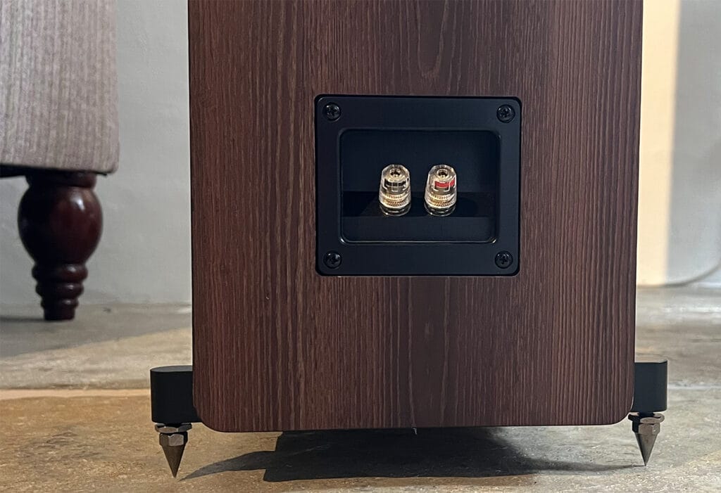 Acoustic Energy AE320² rear connections