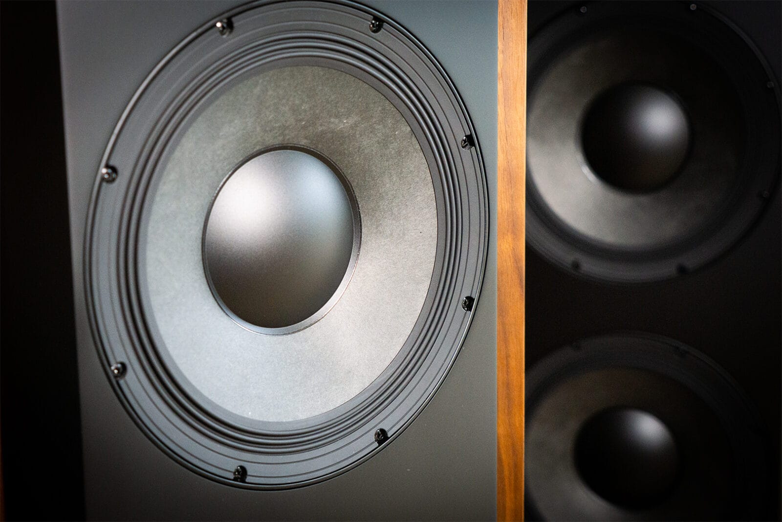 MoFi V10 bass drivers