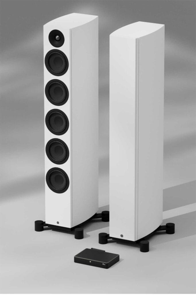 System Audio Legend 60.2 Silverback DS