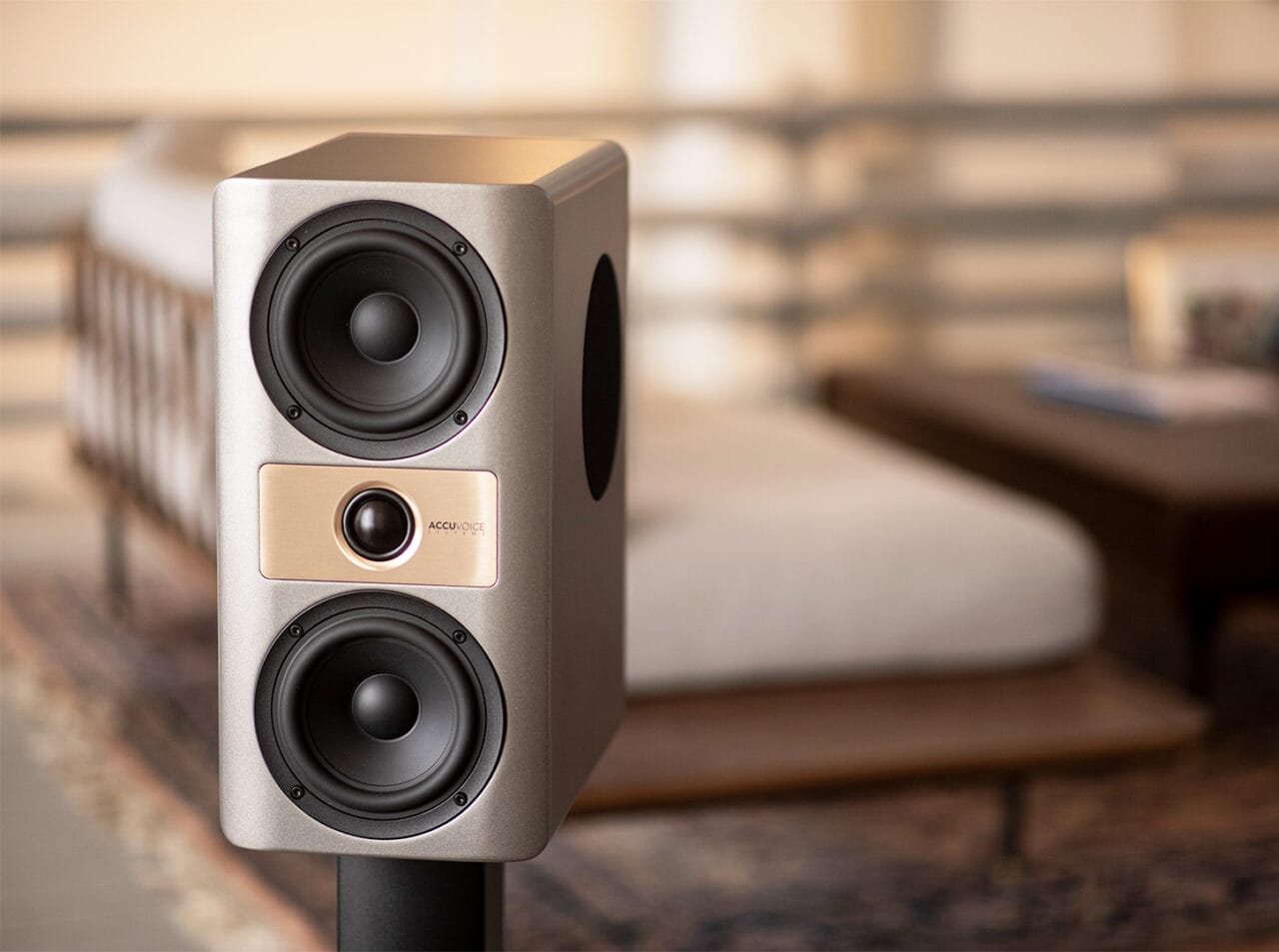 Accuvoice Systems speaker