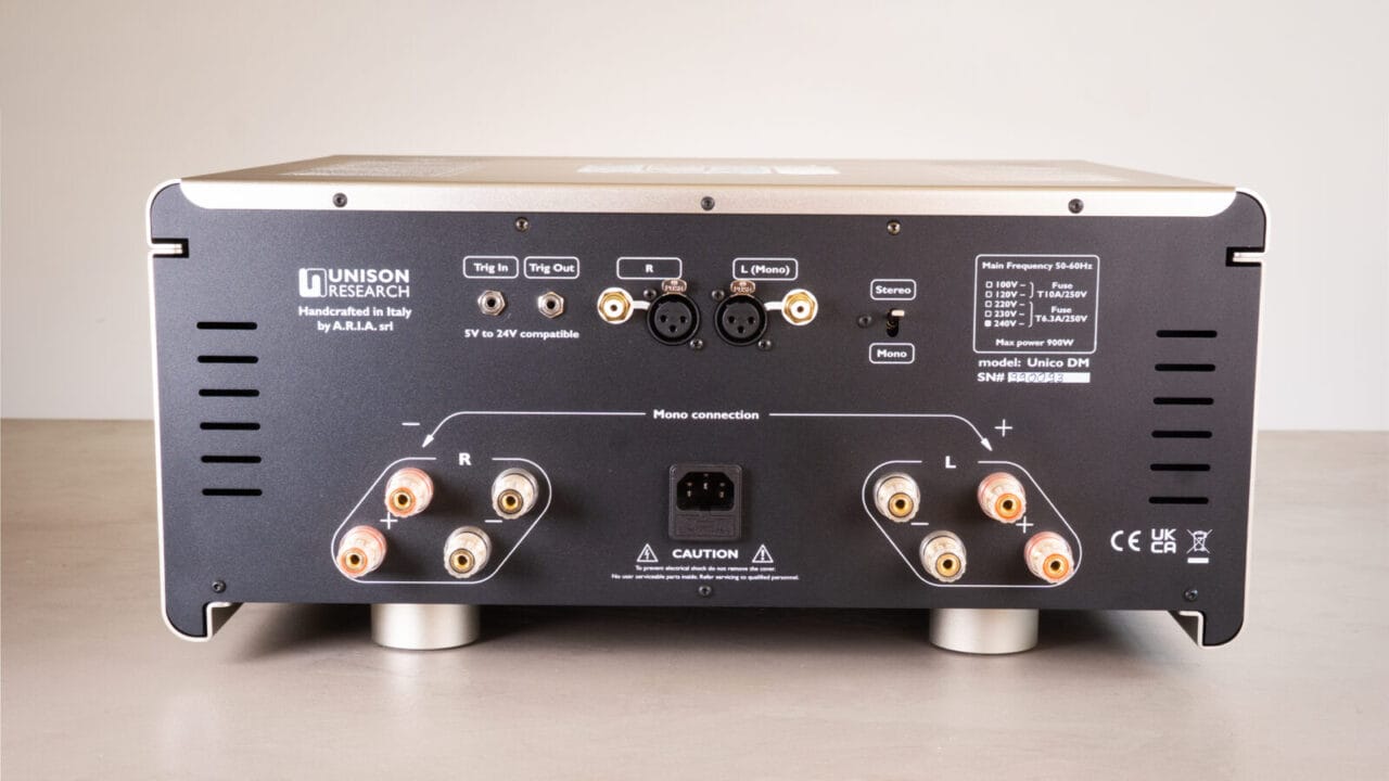 Unison Research DM v2 rear panel